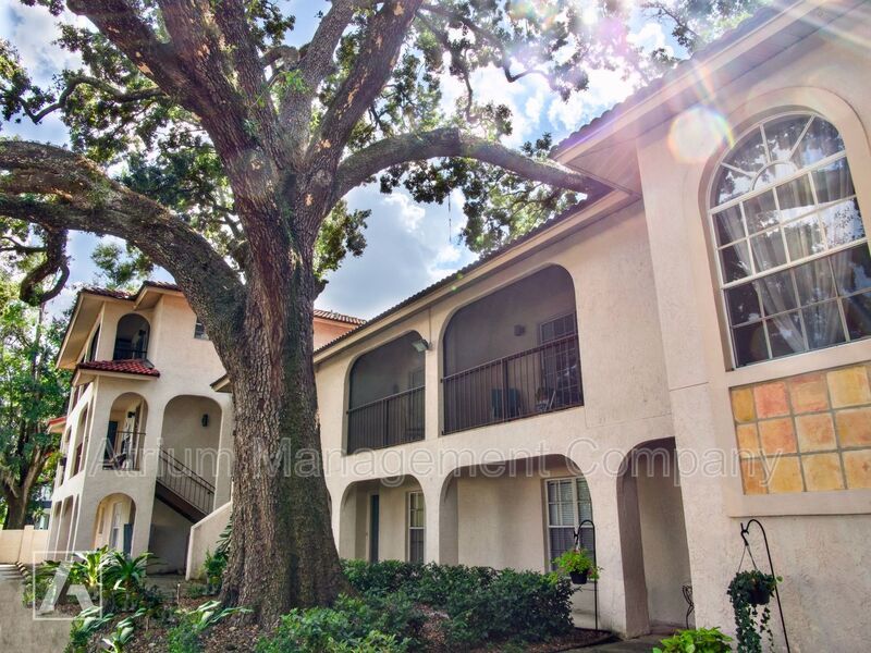 Stunning and Spacious 2 Bed Apartment in Lake Eola Heights property image