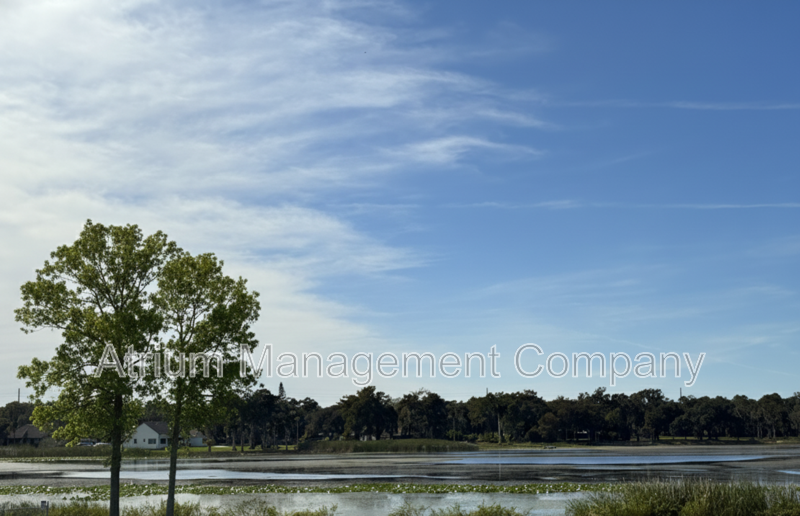 Gated Community Gem: Turnkey 2/2 in Emerald Lake property image