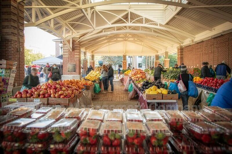 New Apartment Living in the Heart of Downtown Winter Garden, FL! One Bedroom/One Bath Available! property image