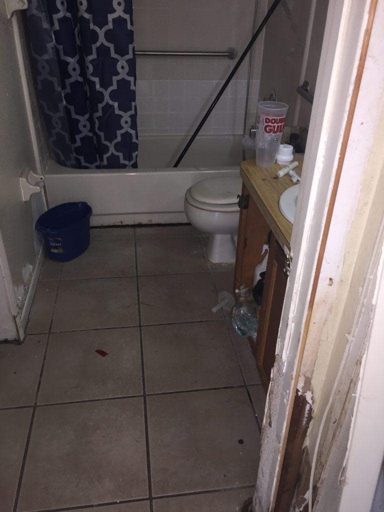 Cory Renovation Bathroom