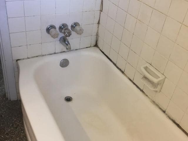 Lanier Renovation Bathtub