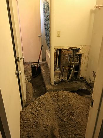 Tangerine Renovation Kitchen