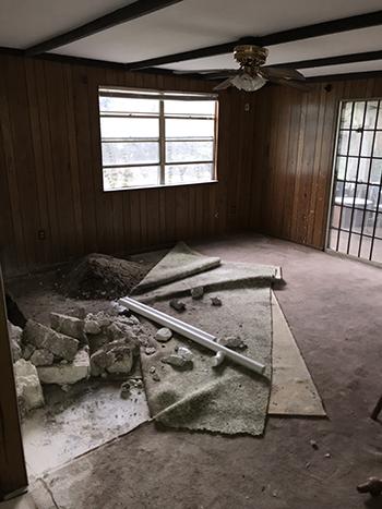 Tangerine Renovation Living Room